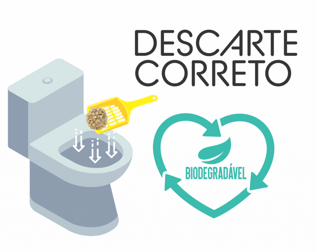 Read more about the article Descarte Correto